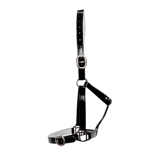 HSN5000F BK-03